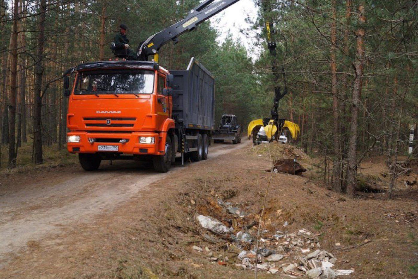 260 навалов мусора убрали в лесах Подмосковья с начала 2025 года