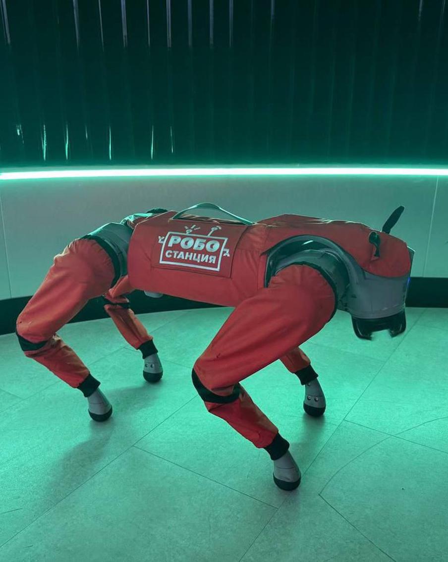 Робособака будет подгонять бегунов на марафоне в Москве. Благотворительный забег пройдёт в Измайловском парке