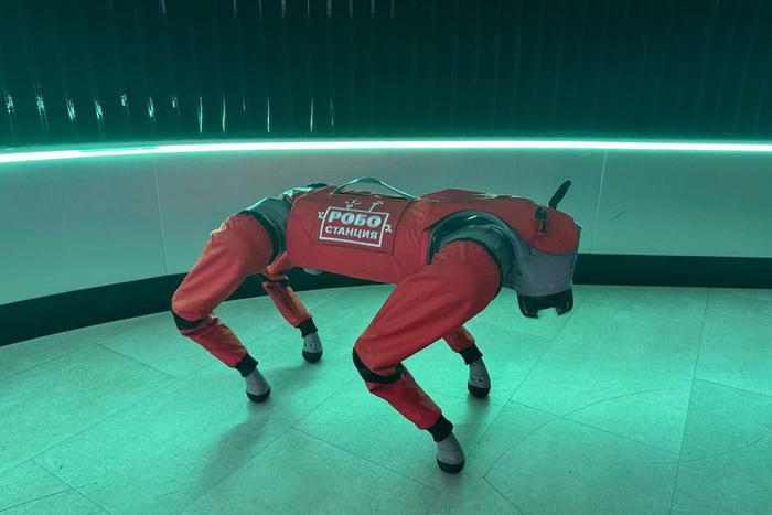 Робособака будет подгонять бегунов на марафоне в Москве. Благотворительный забег пройдёт в Измайловском парке
