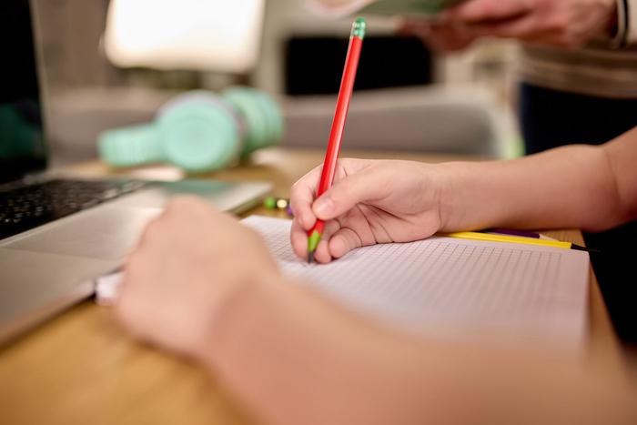 Володин предложил обсудить отмену домашнего задания для школьников