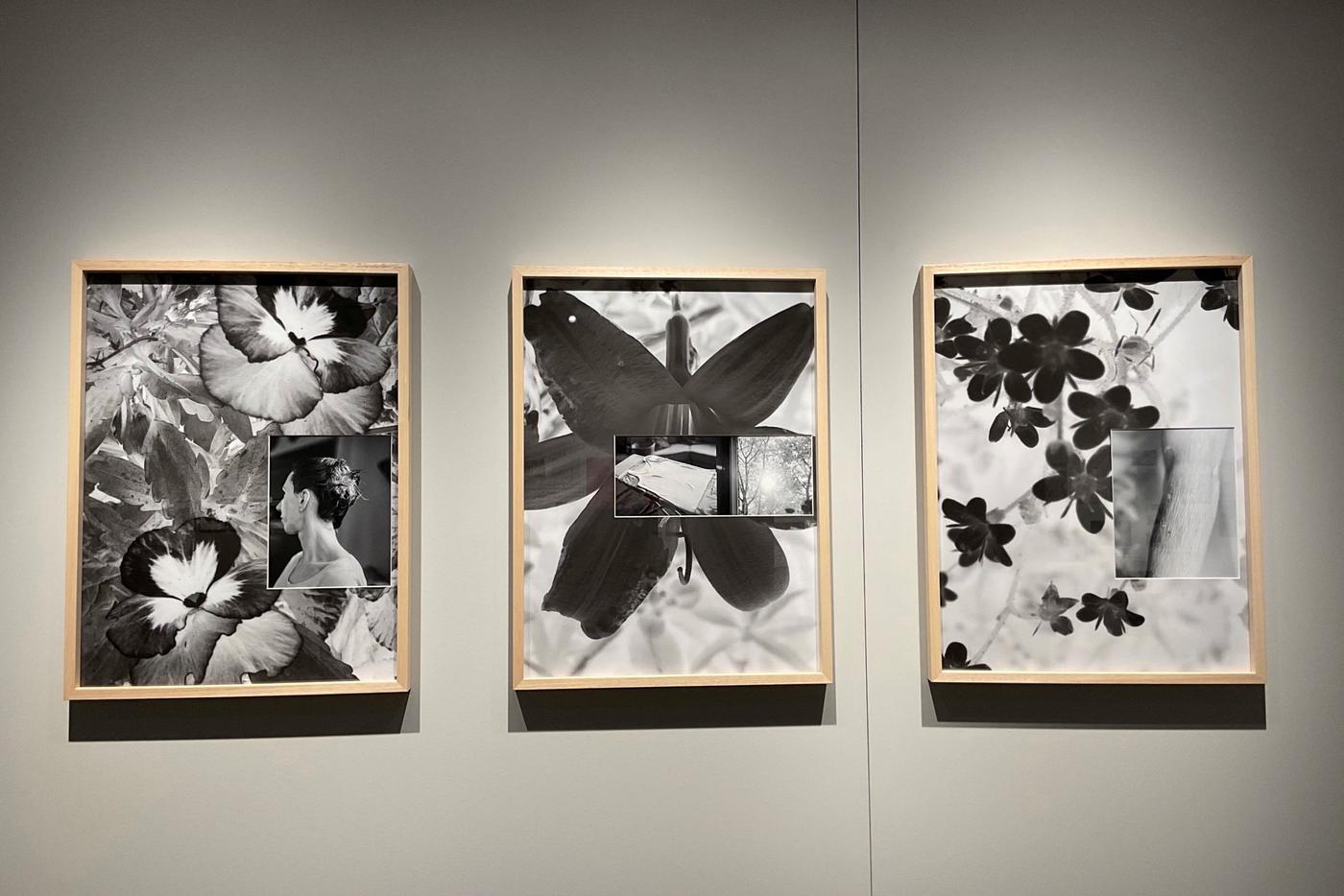 Проект "Untitled IV" Полины Рукавишниковой.
