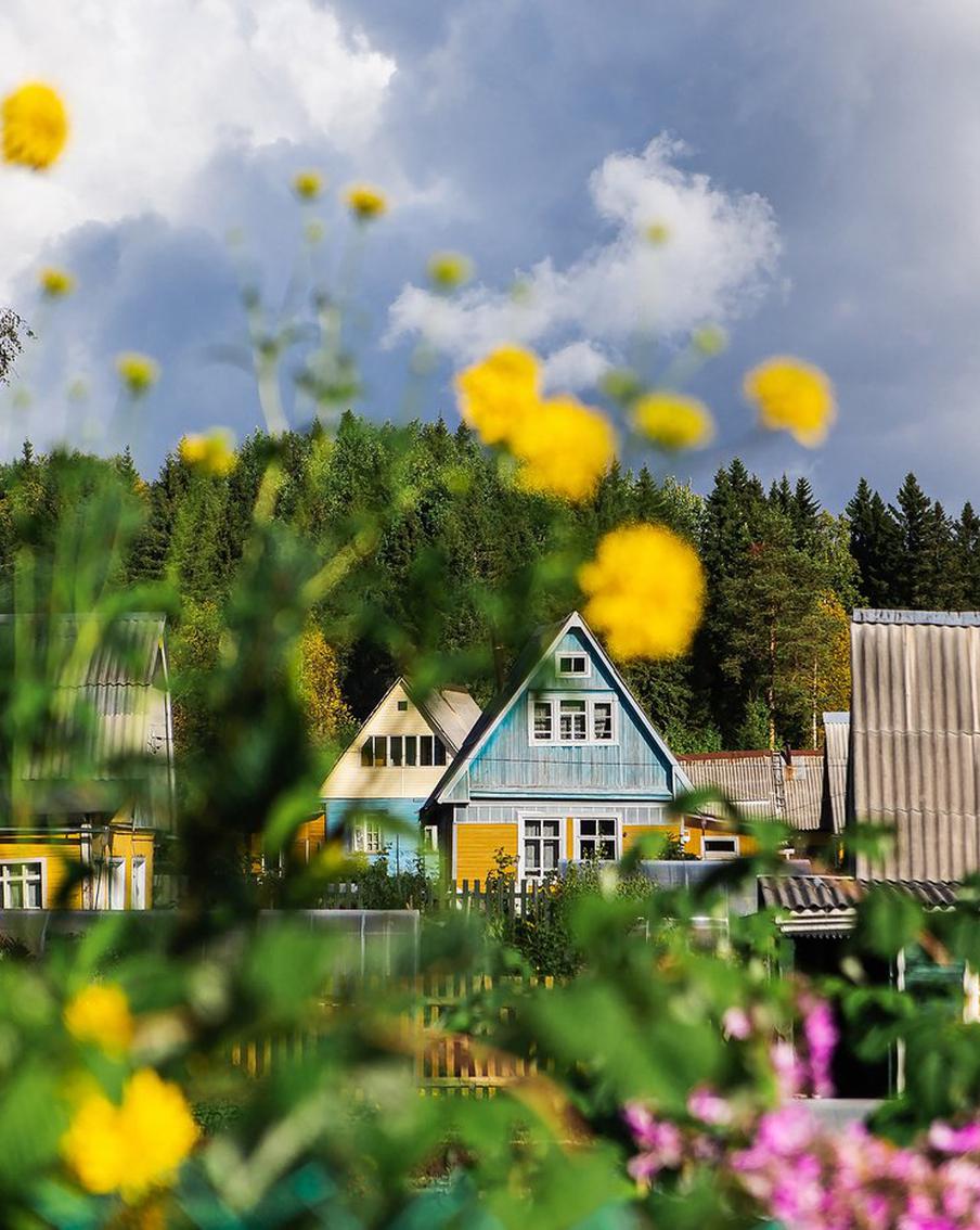 C 1 сентября дачникам запретят зарабатывать на своих участках