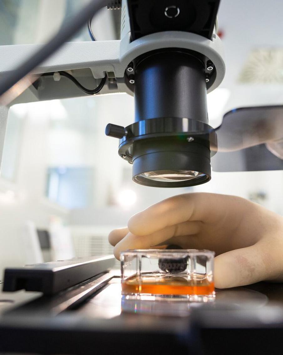 Daily Mail: врачи ищут лекарство от грибка, который может уничтожить людей