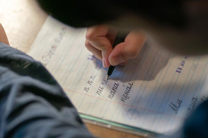 В Госдуму внесли законопроект о платном обучении детей мигрантов