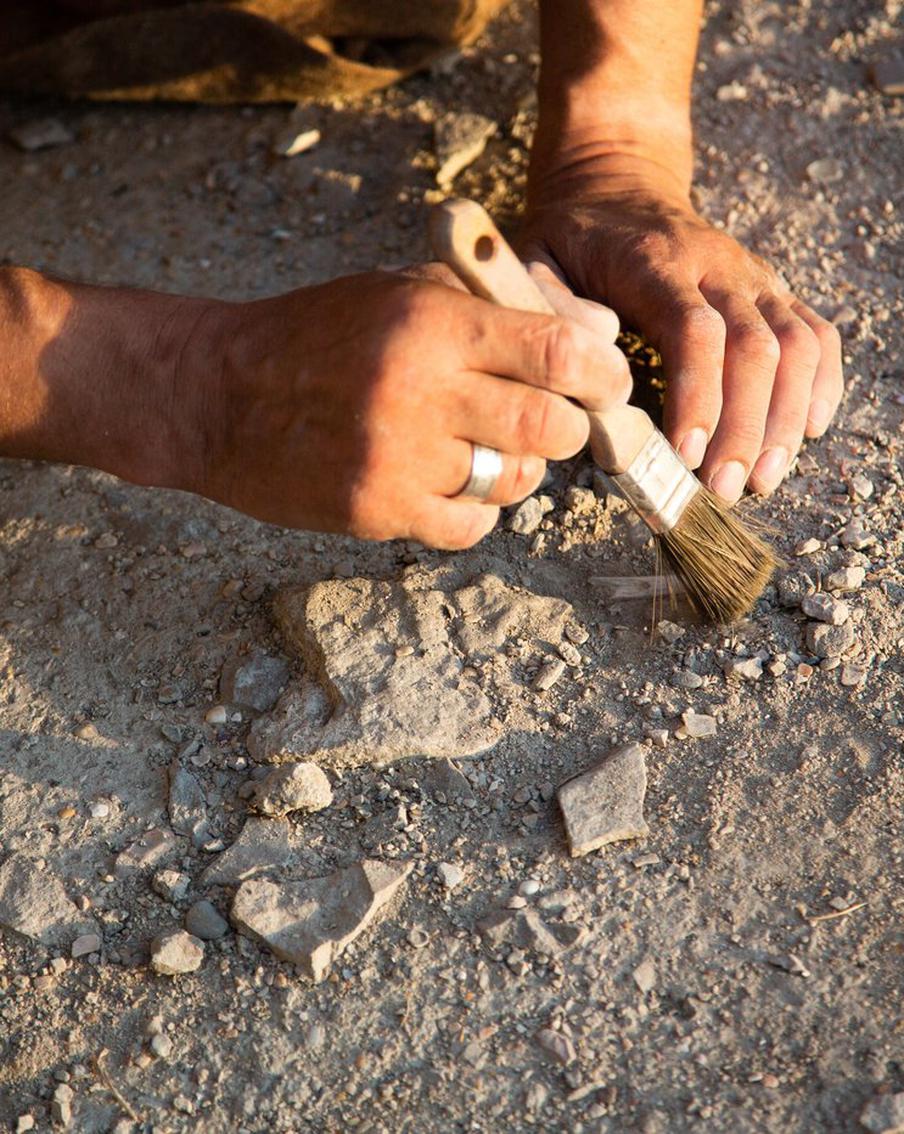 Археологи нашли клады двух неизвестных племён на верхней Оке