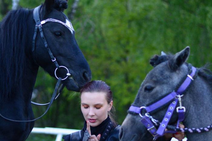 На какие виды спорта сходить в Москве: конный фестиваль и бои на льду