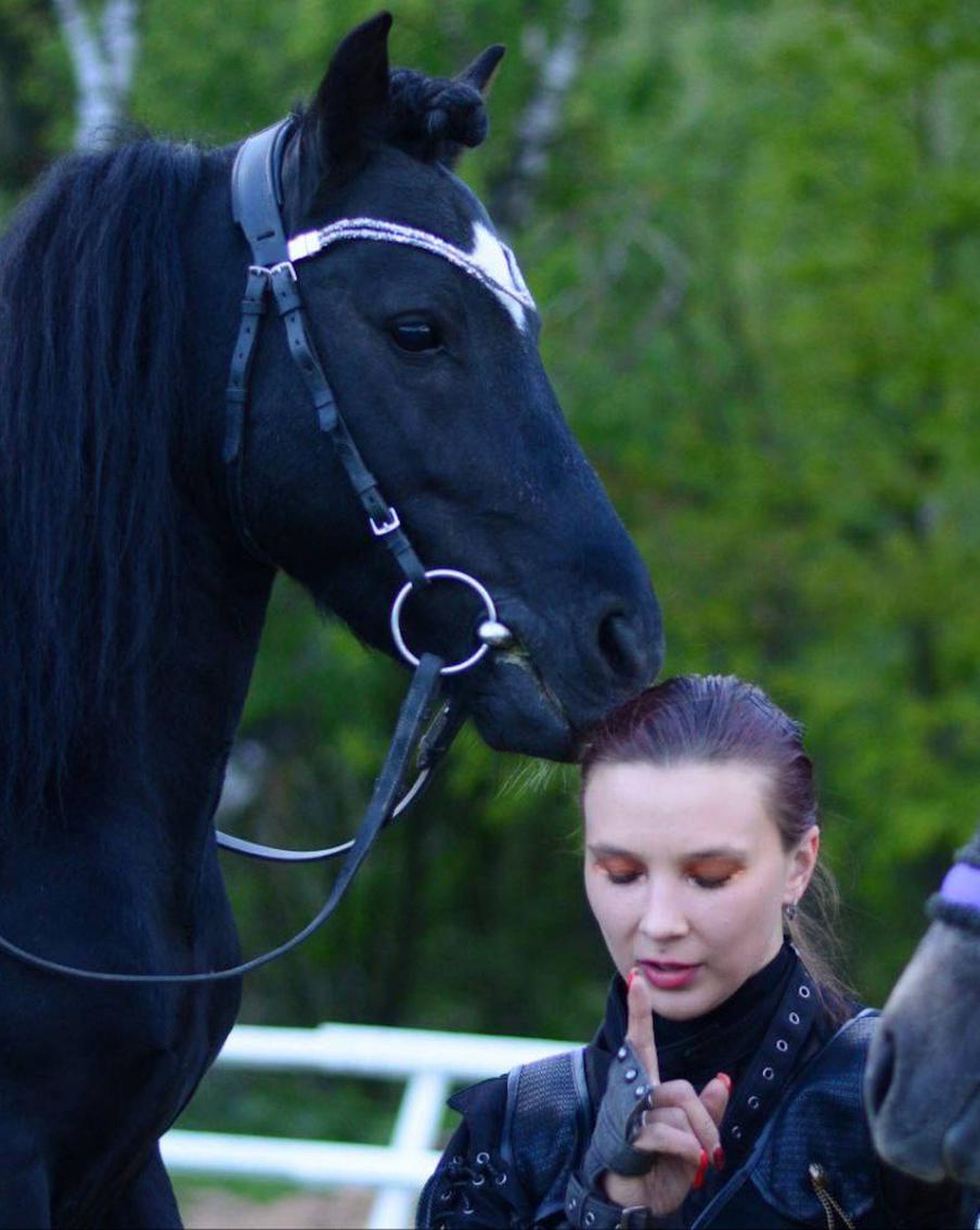 На какие виды спорта сходить в Москве: конный фестиваль и бои на льду