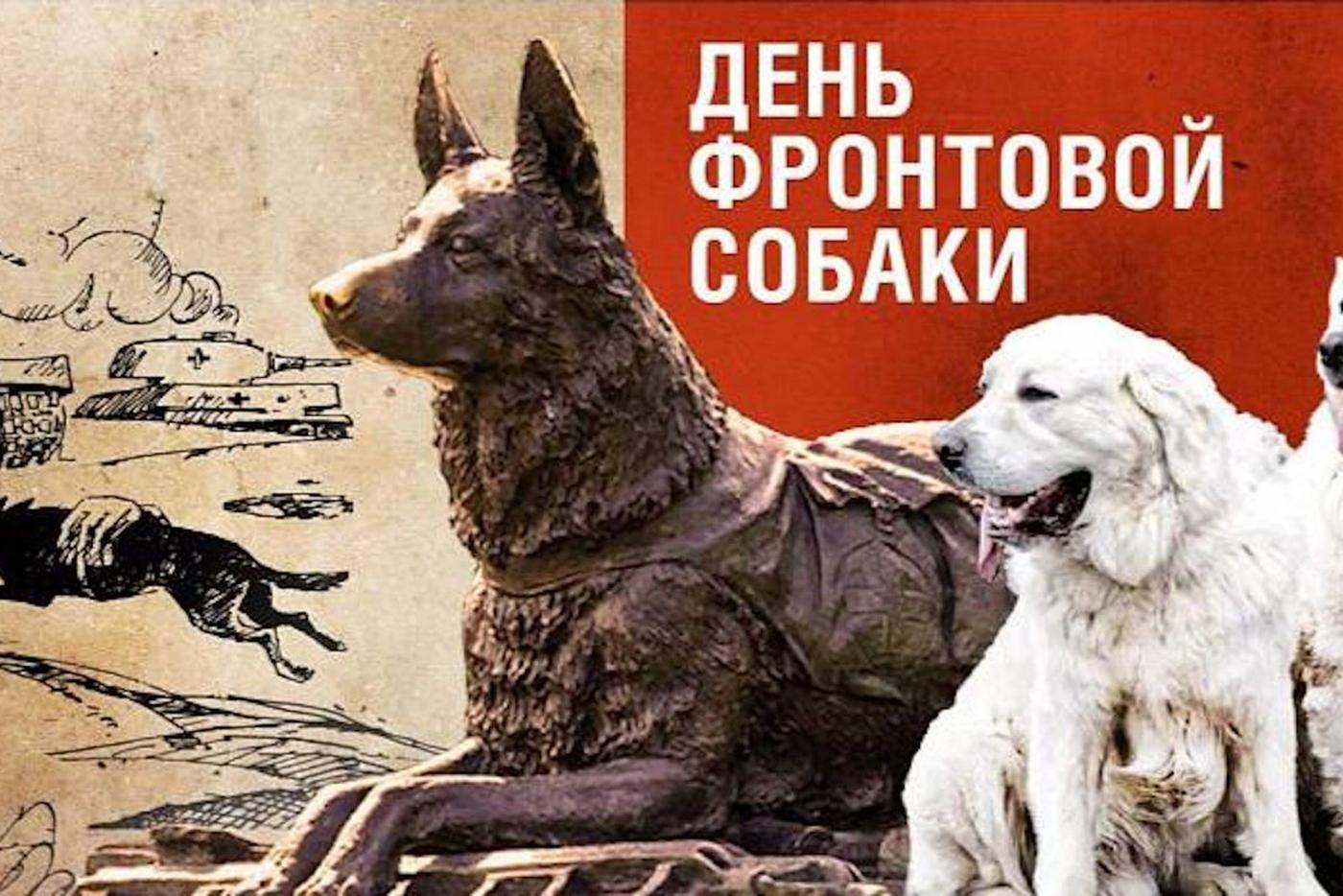 "День фронтовой собаки".