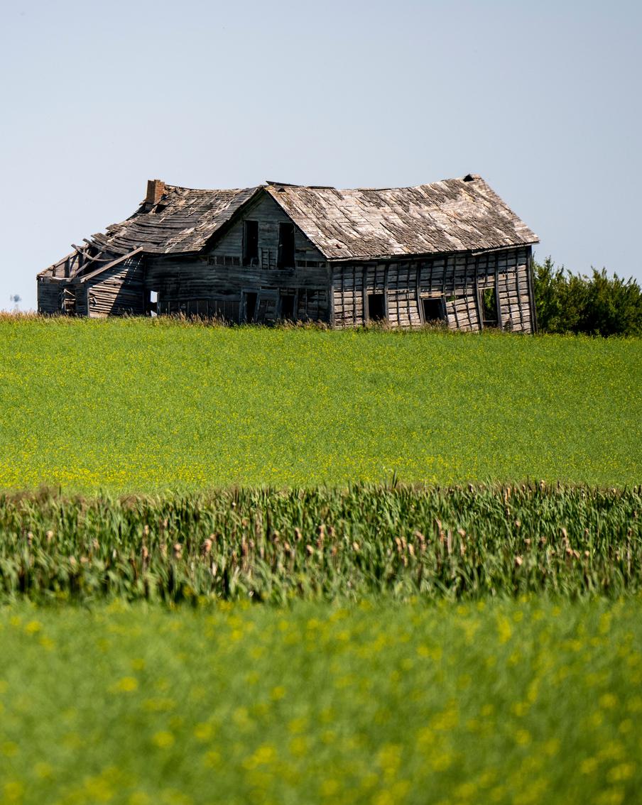 У россиян начнут отбирать дачные участки по новым критериям бесхозности, которые вступят в силу с сентября