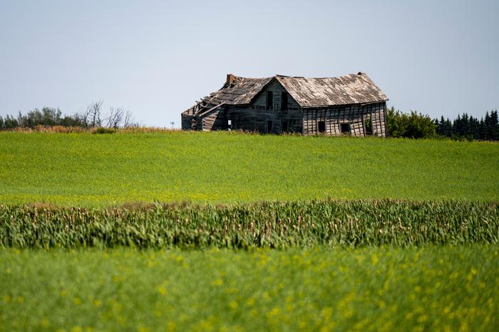 У россиян начнут отбирать дачные участки по новым критериям бесхозности, которые вступят в силу с сентября