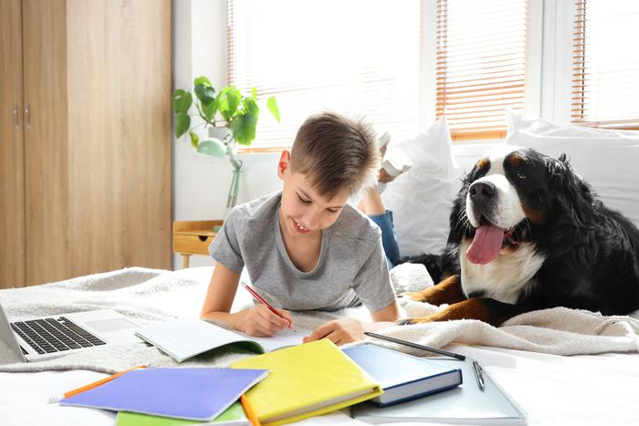 Депутаты подготовили единые требования к домашним заданиям в школах