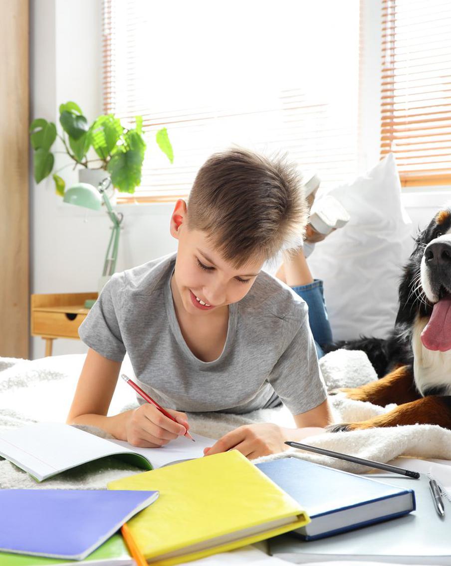 Депутаты подготовили единые требования к домашним заданиям в школах