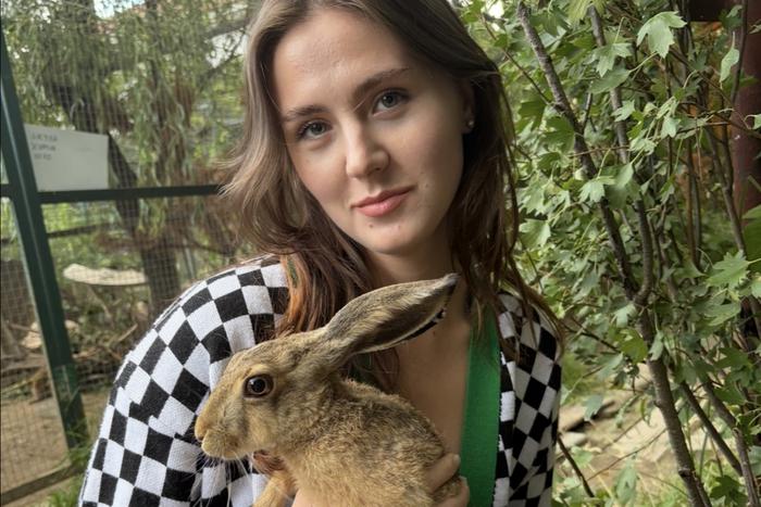 Кто помогает зайцам пройти "школу дичания" и поступить в лес