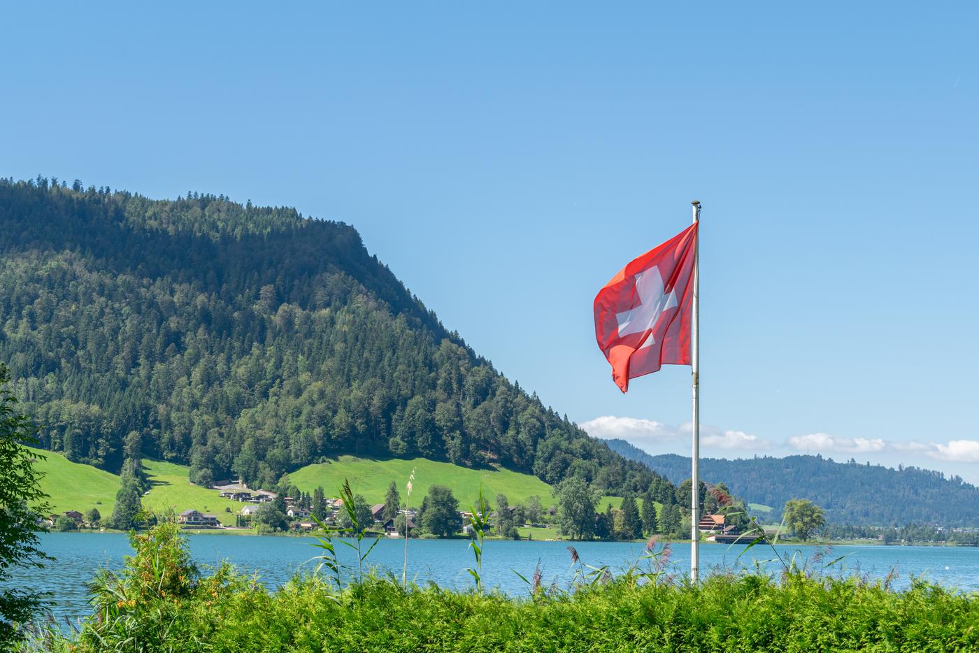 Швейцария пообещала Путину иммунитет ради встречи с Зеленским