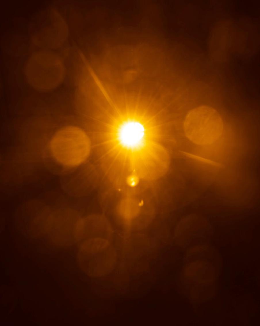 Солнце "выстрелило" одним из крупнейших за последние годы протуберанцем