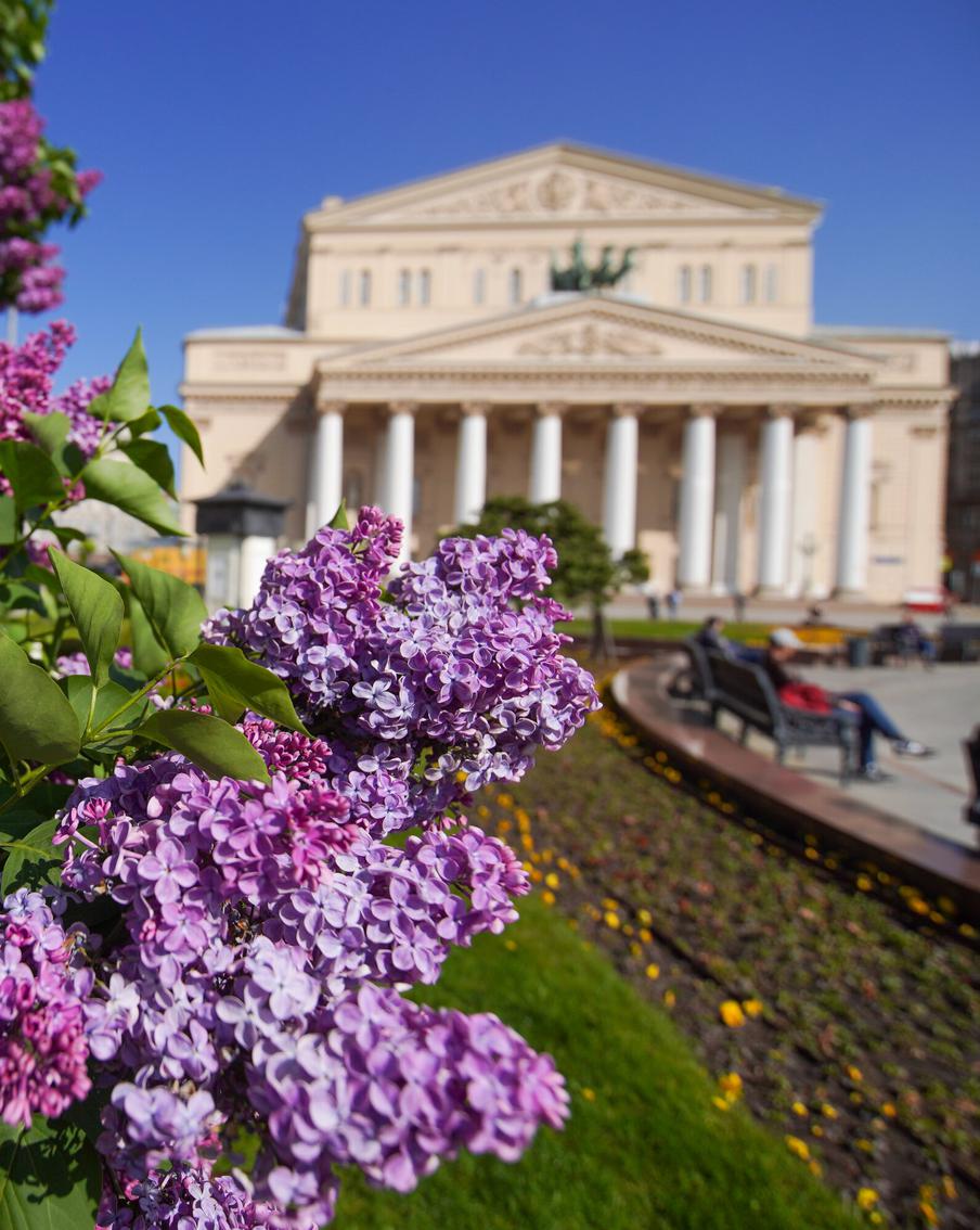 Максим Ликсутов: количество нарушений правил парковки у Большого театра стало меньше