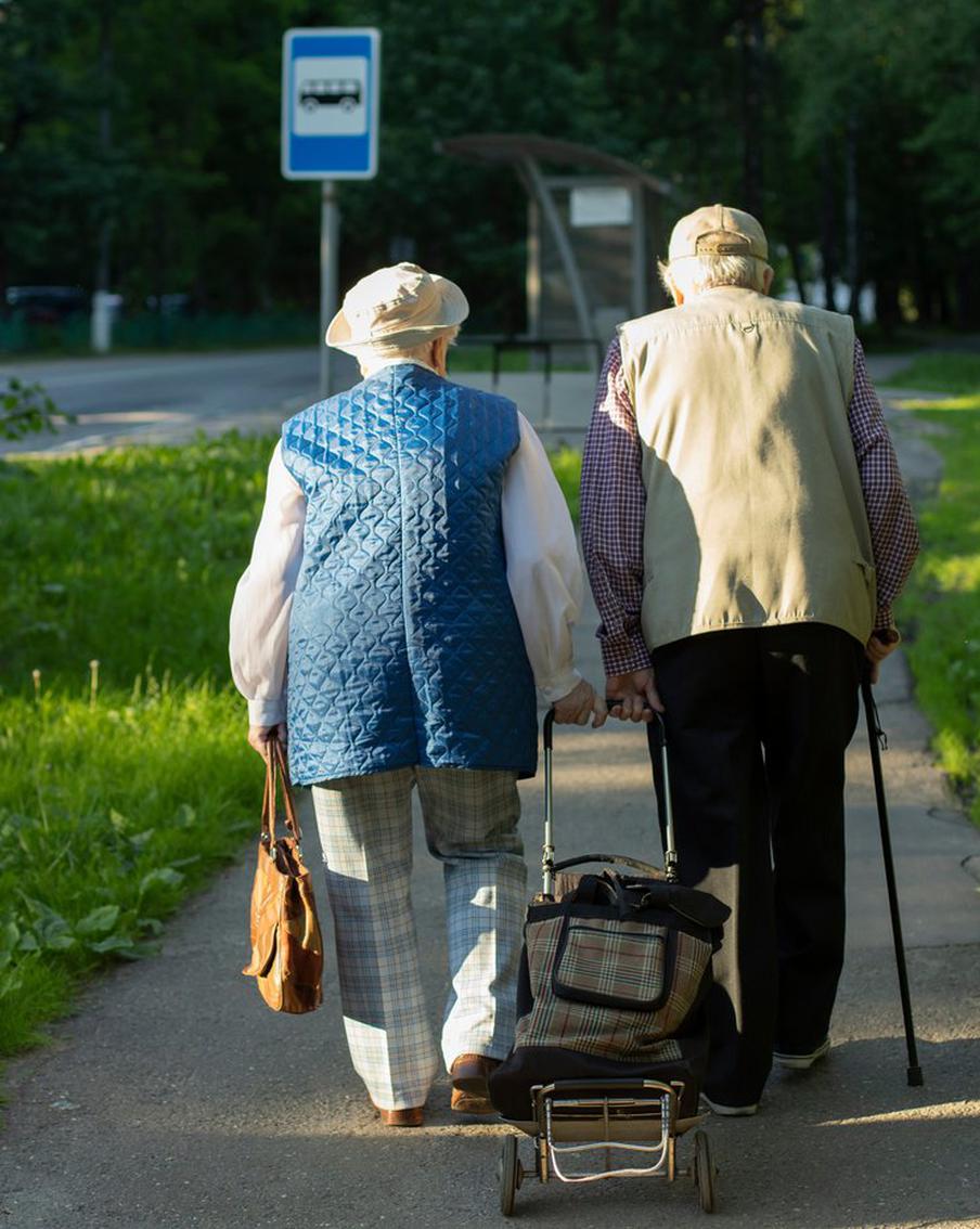 В ЛДПР предложили установить единые льготы на проезд пенсионерам по всей России