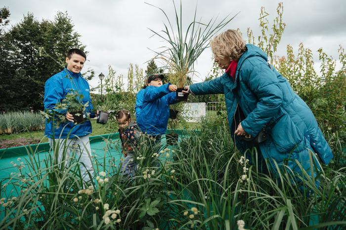Московский нефтеперерабатывающий завод делится опытом озеленения районов