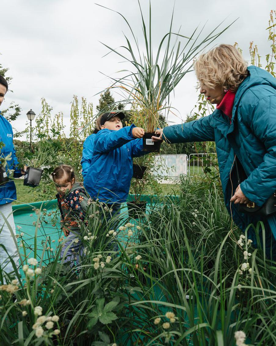 Московский нефтеперерабатывающий завод делится опытом озеленения районов