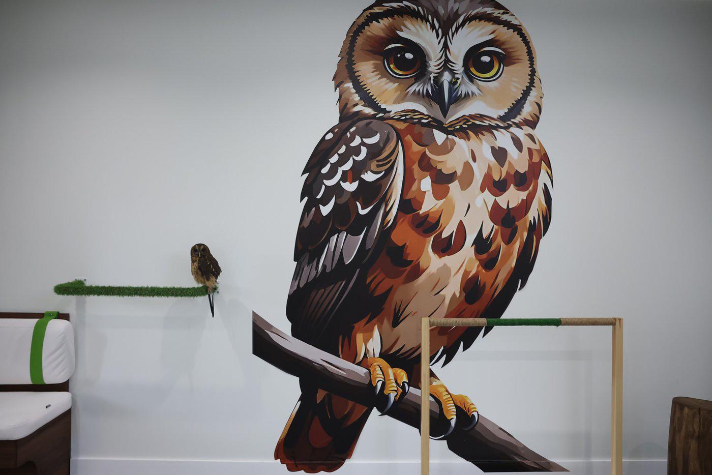 Хельга даже удостоилась собственного портрета во всю стену.