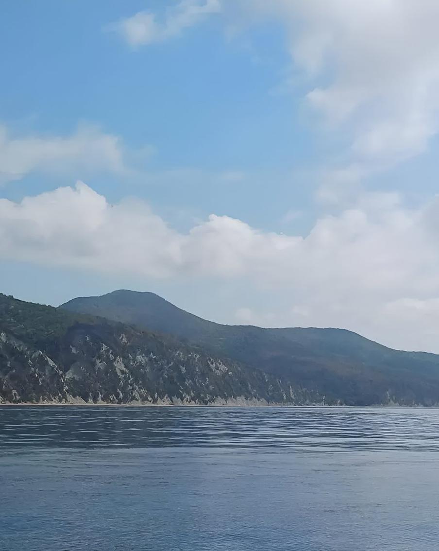 В Краснодарском крае потушили пожар площадью более 40 гектаров, возникший после падения под Геленджиком украинского дрона