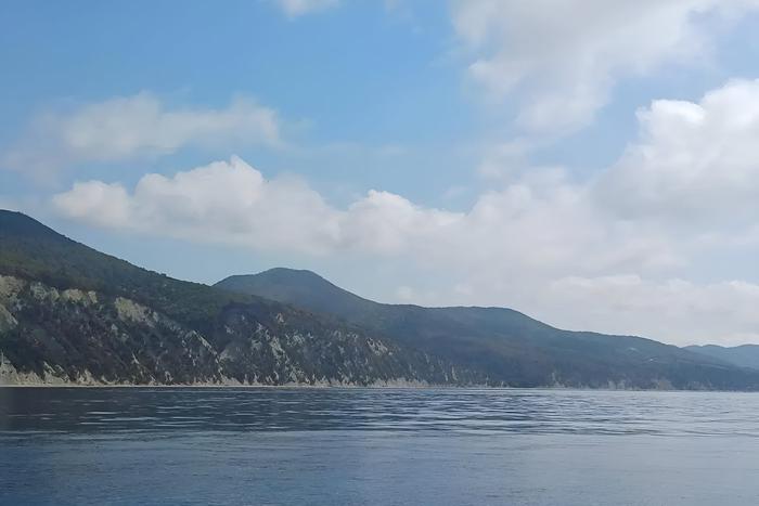 В Краснодарском крае потушили пожар площадью более 40 гектаров, возникший после падения под Геленджиком украинского дрона