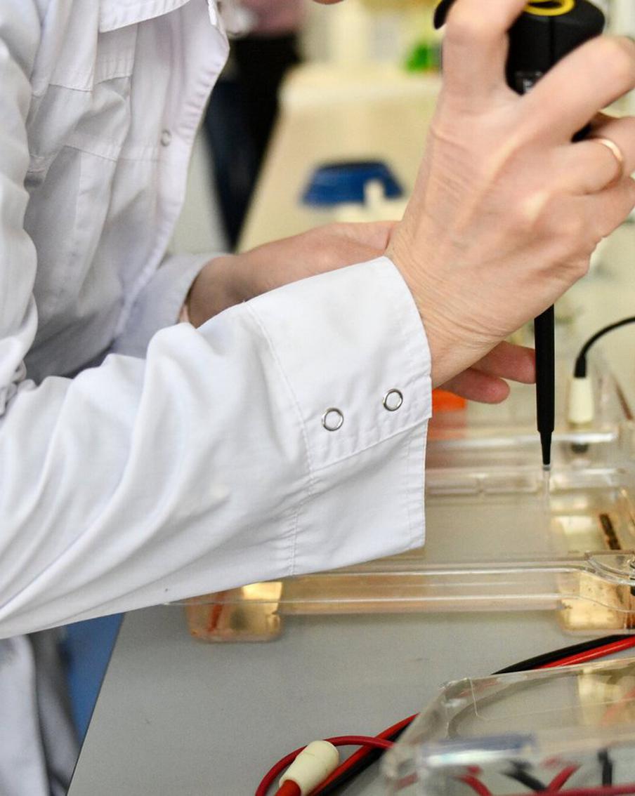 Учёные узнали, какие части клеток ответственны за распространение рака