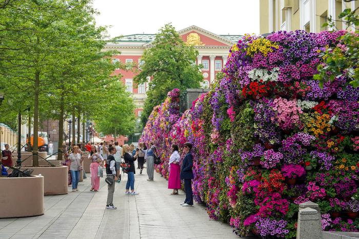 Растения после фестиваля "Сады и цветы" отправят в ботанические сады и зоопарк
