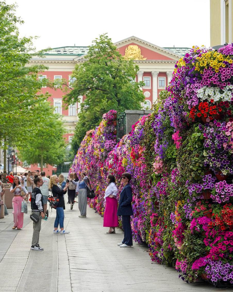 Растения после фестиваля "Сады и цветы" отправят в ботанические сады и зоопарк