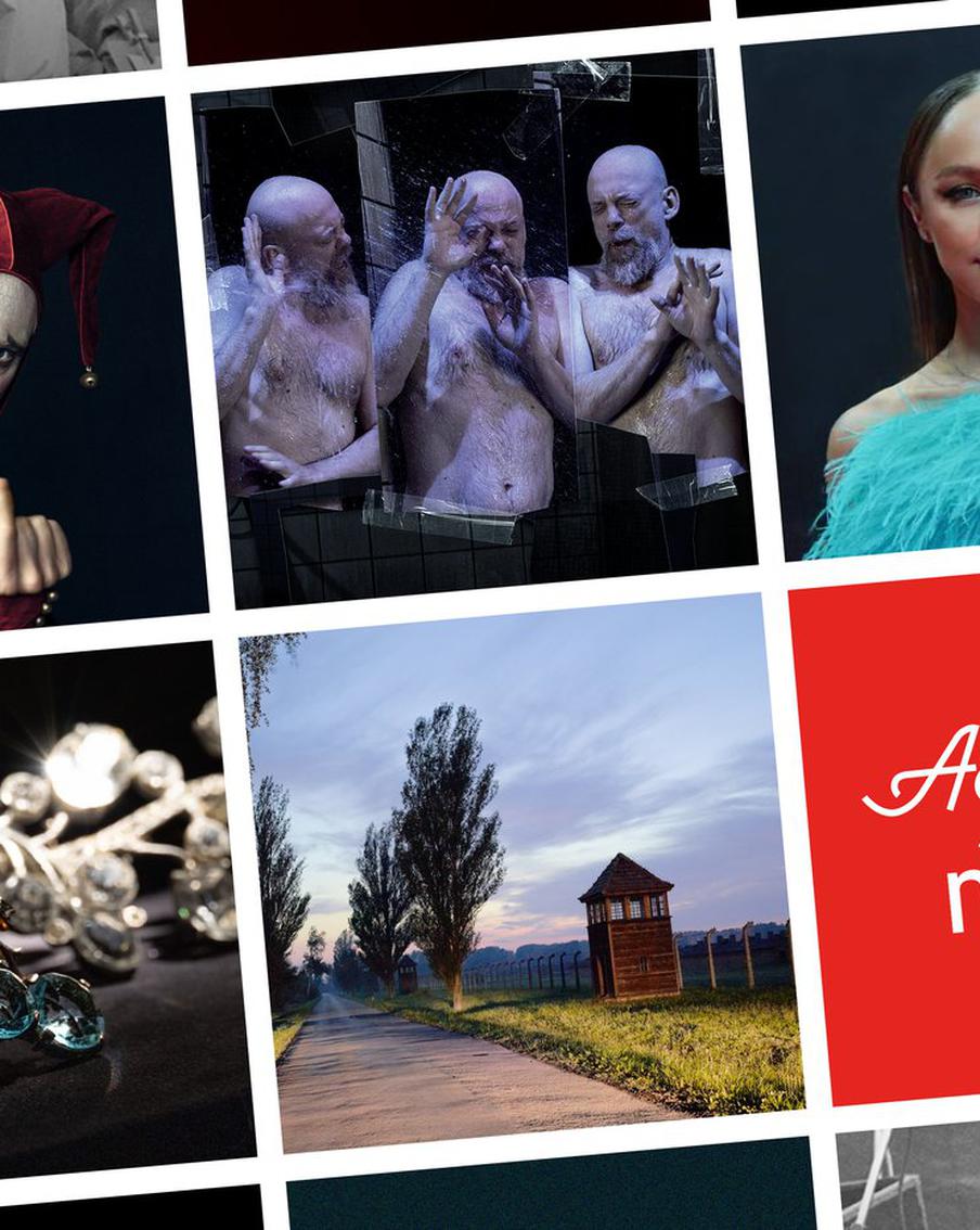 Таксы Чехова устроят "Гав-а-портэ": чем удивит афиша Москвы в начале осени