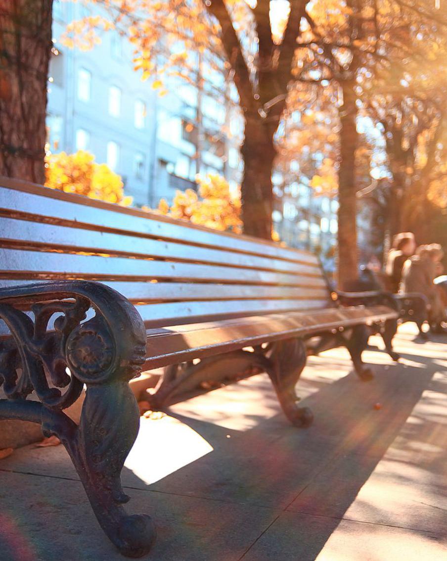 Как не отравить себе настроение в бабье лето: психолог советует москвичам, как справиться с FOMO