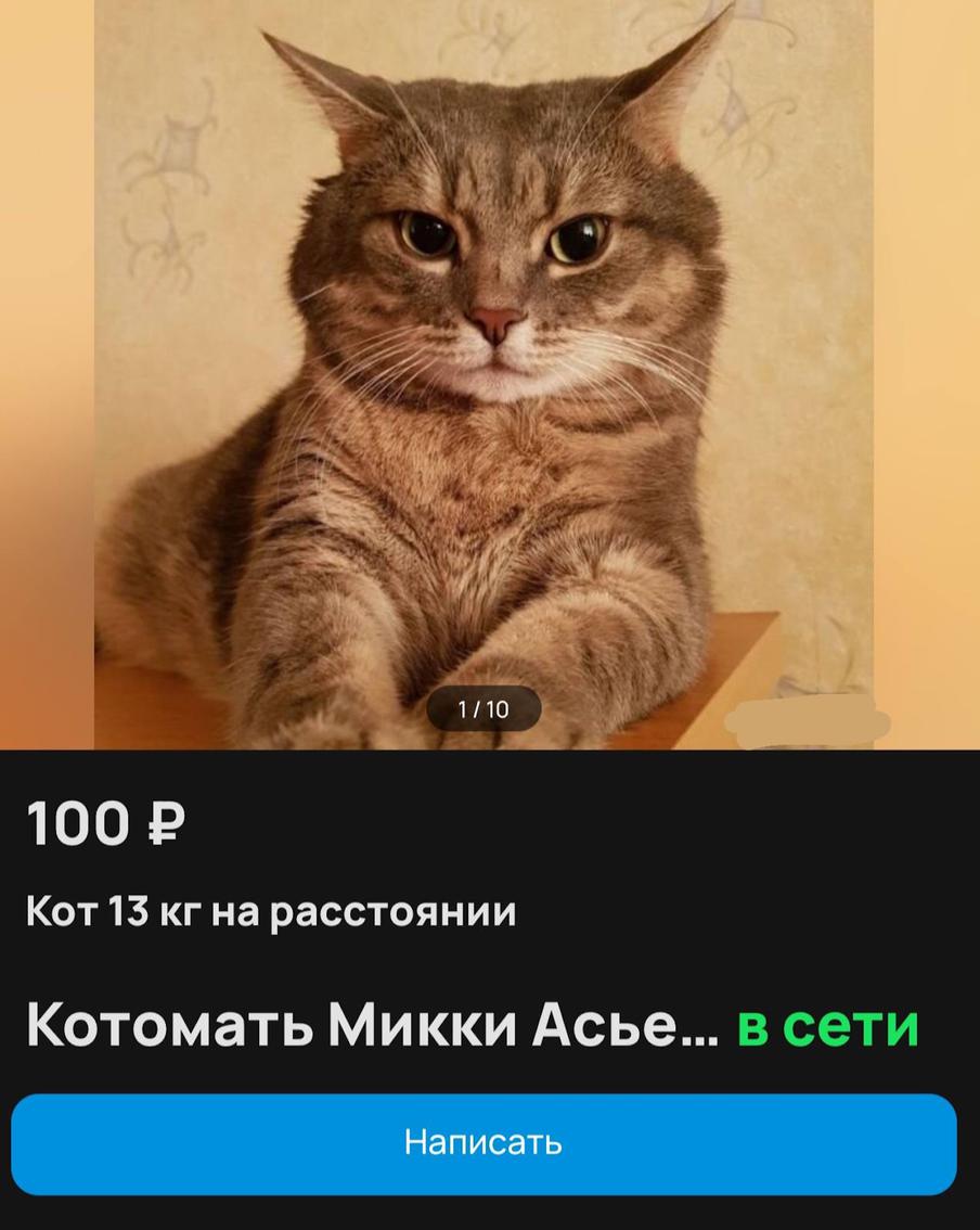 Микки Асьевич готов и поддержать, и залечить душевные раны за отдельную плату.
