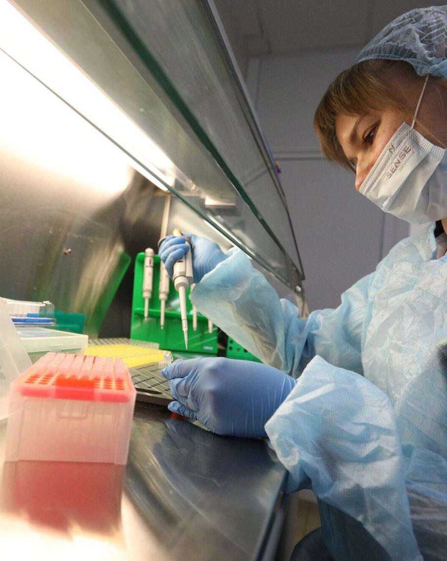 Эпидемиолог Плоскирева объяснила, в чём особенность новой мутации коронавируса