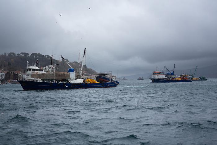 Жена Свечникова: турки ищут в небольшой зоне, не учитывая течение и выход в море