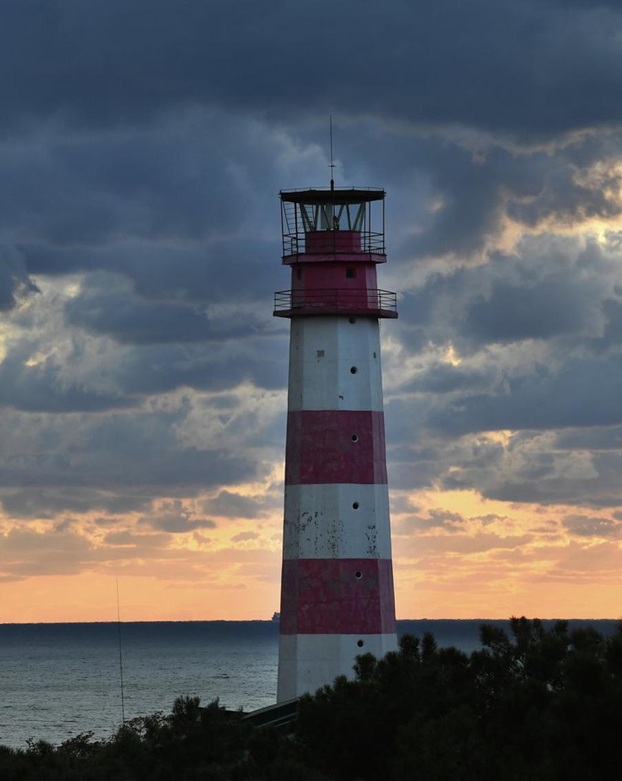 Трагедия Лермонтова откроет форум актуального кино: "Маяк" объявил состав жюри