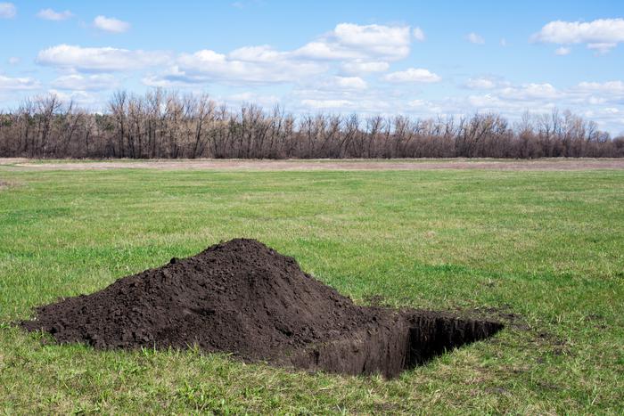 В венгерском Сексарде прошли соревнования по рытью могил, на которых россияне заняли последнее место