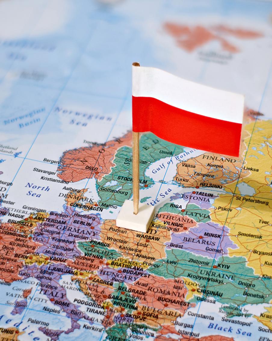 ВС Польши не нашли подтверждений нарушения воздушного пространства дроном