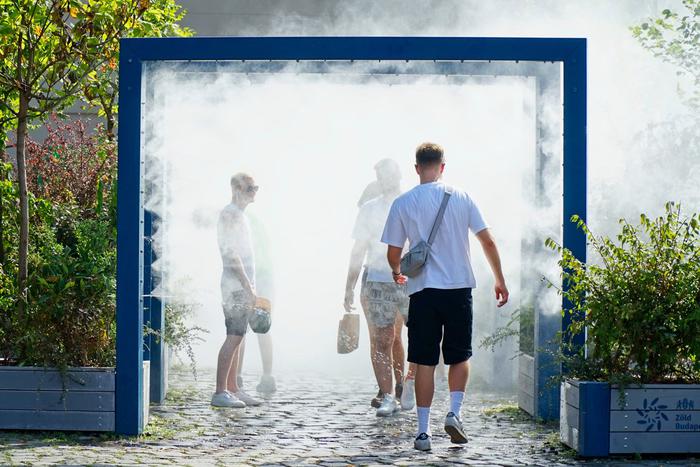 В Европе зафиксирована рекордная смертность из-за экстремальной жары