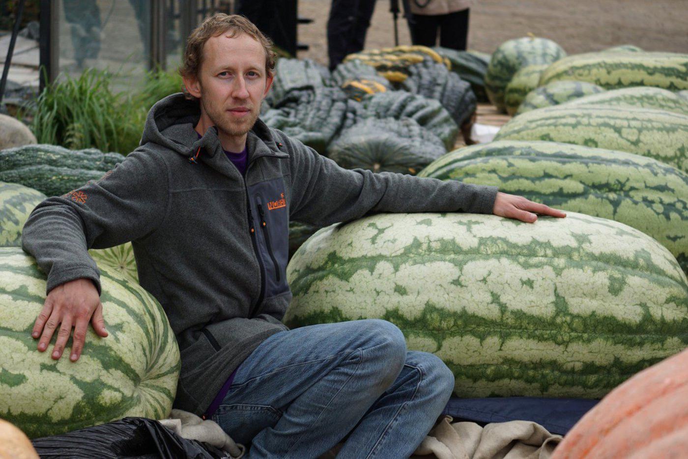 Лебедев признаётся: сначала не хотел сажать арбузы, а потом подружился с ними и теперь называет их 'живыми существами'