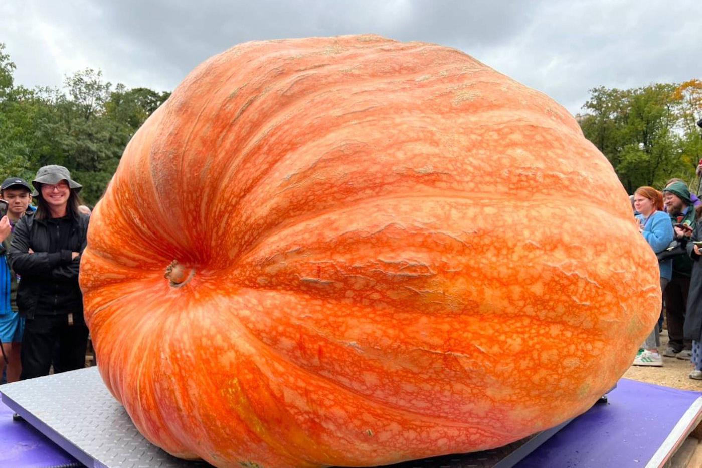 Почти тонна на весах: в "Аптекарском огороде" показали овощи-гиганты