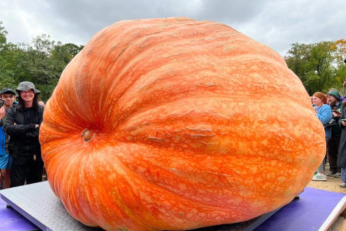 Почти тонна на весах: в "Аптекарском огороде" показали овощи-гиганты
