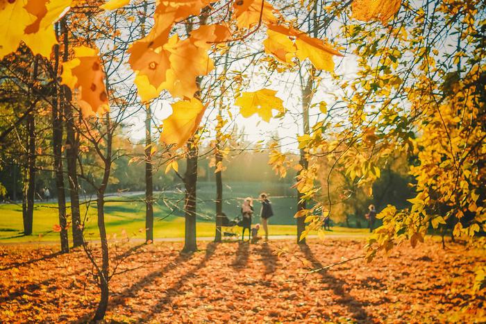 Россиян предупредили о наступлении аномальной жары по всей стране в начале следующей недели