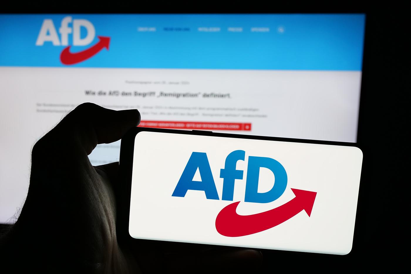 Немцы предпочли "Альтернативу для Германии" всем остальным политическим партиям страны