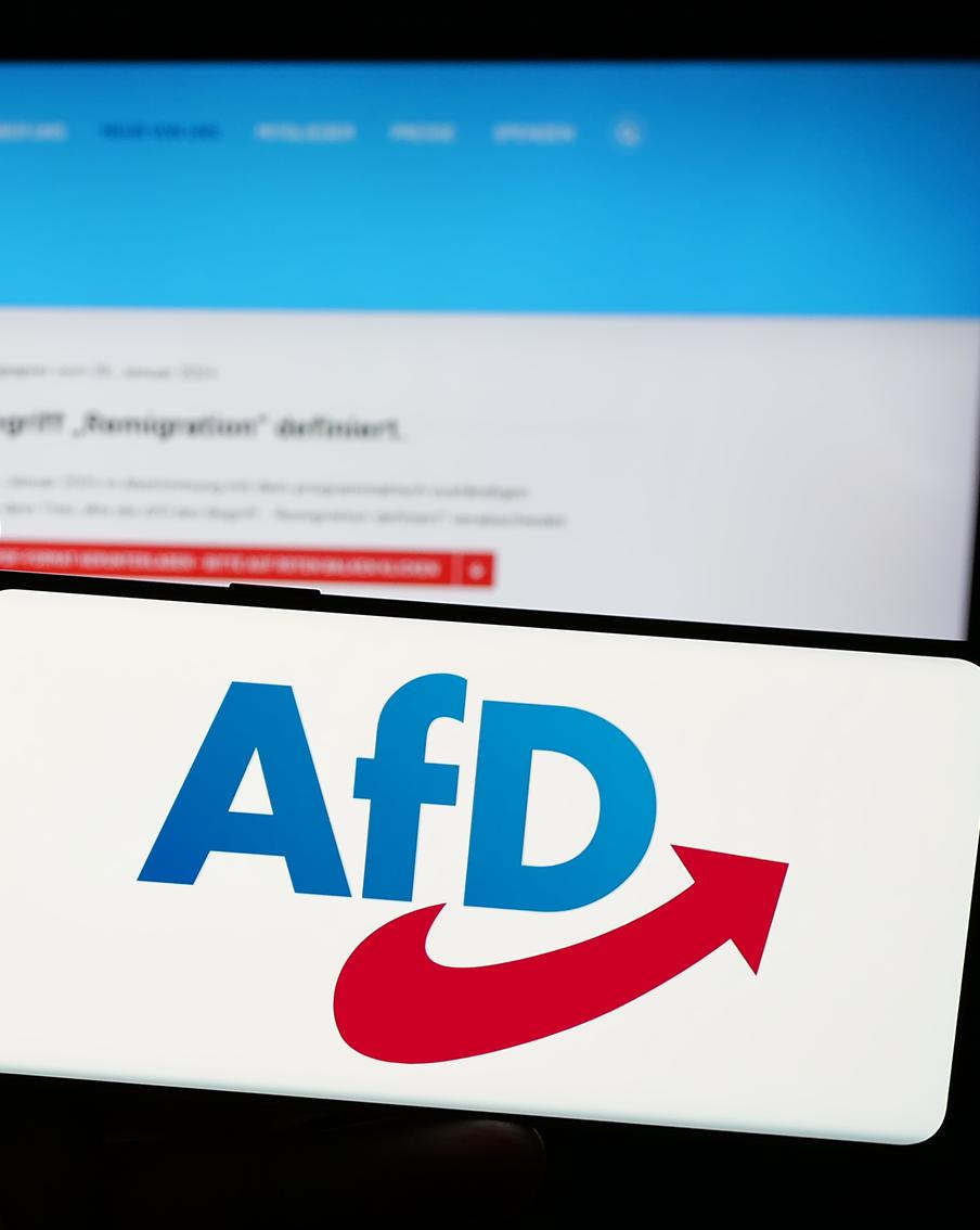 Немцы предпочли "Альтернативу для Германии" всем остальным политическим партиям страны