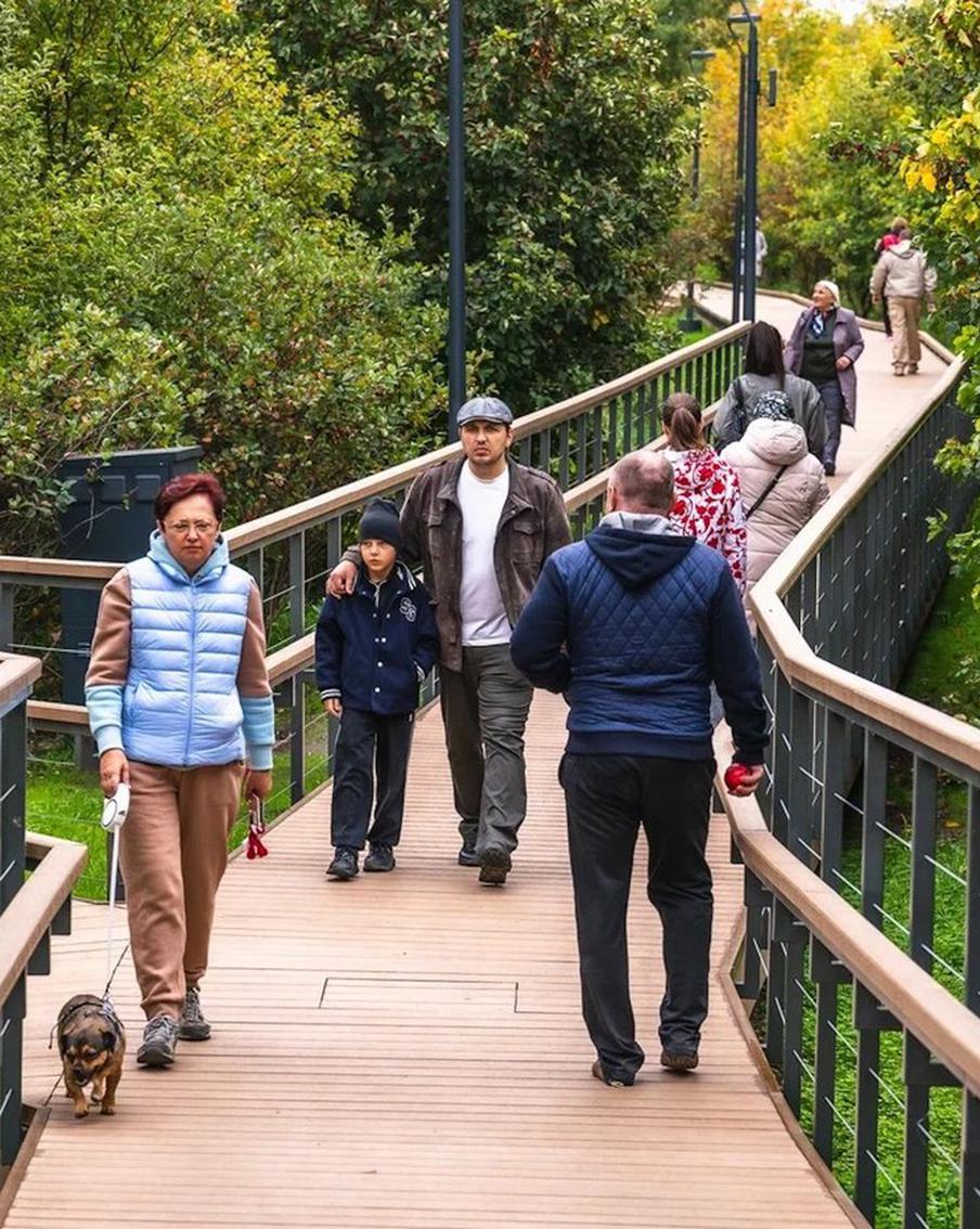 В парке "Крылатские холмы" завершили первый этап благоустройства парка и олимпийской велотрассы