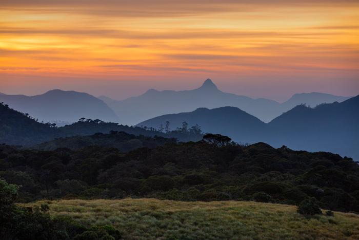 Россиянин оказался среди погибших на канатной дороге монахов на Шри-Ланке