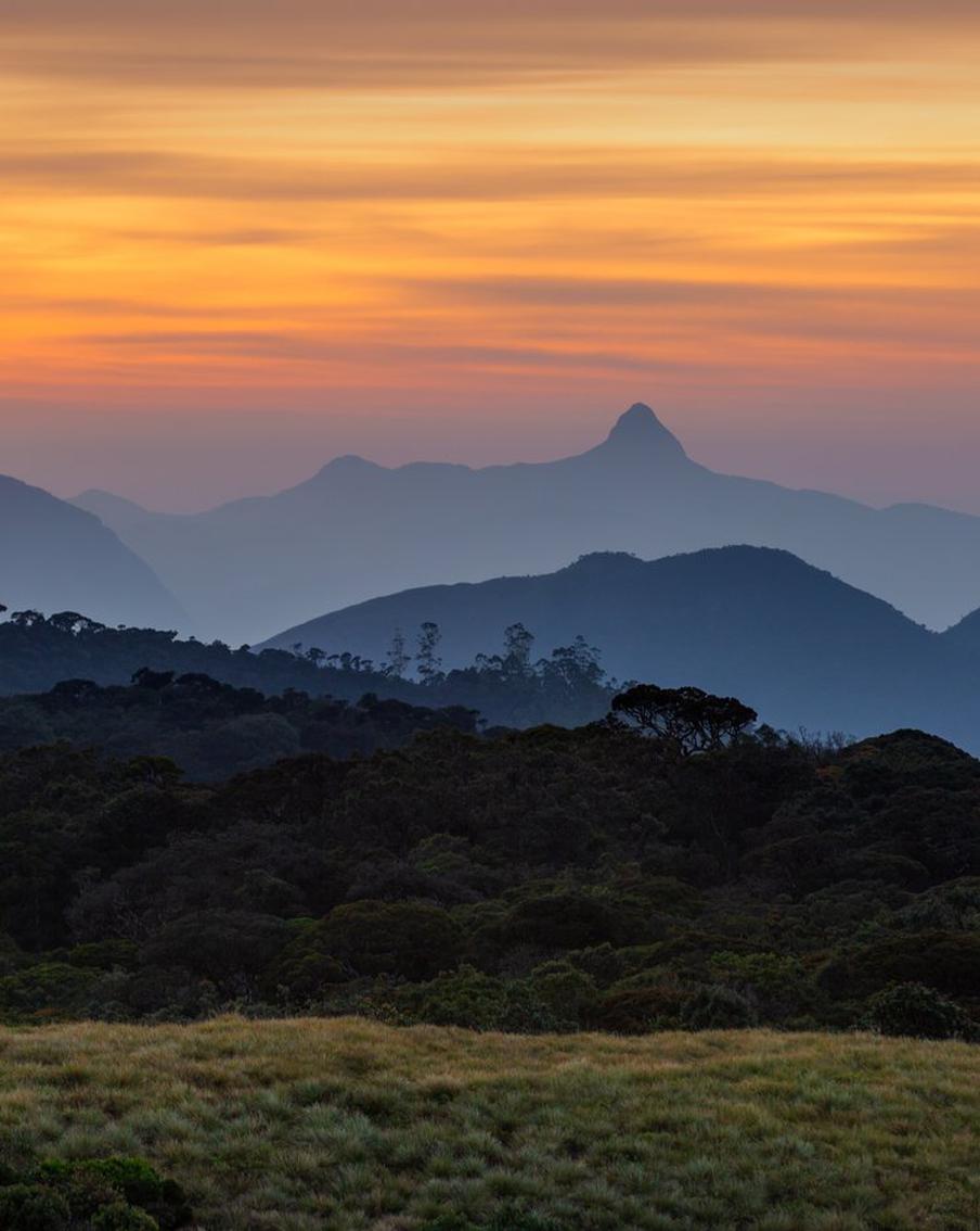 Россиянин оказался среди погибших на канатной дороге монахов на Шри-Ланке