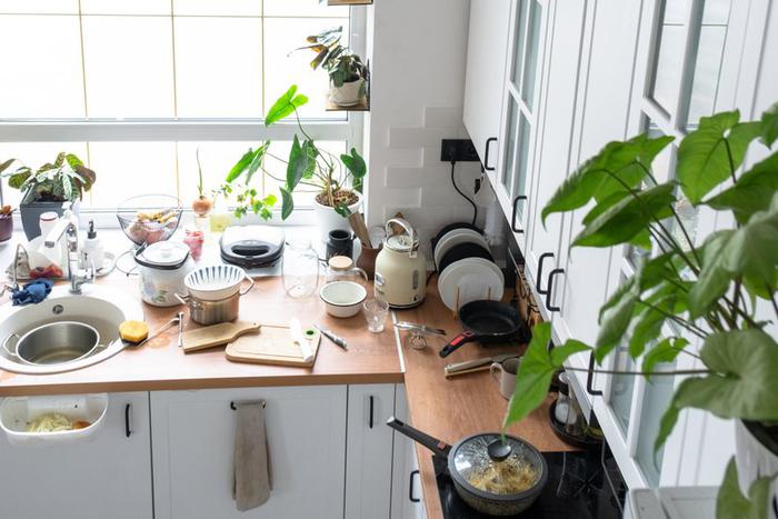 Депутат Госдумы рассказал, почему россиян могут оштрафовать за разведение антисанитарии в жилом доме