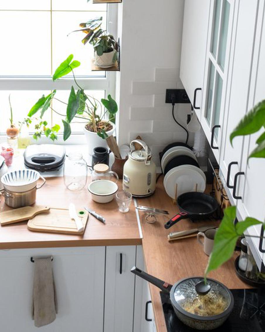 Депутат Госдумы рассказал, почему россиян могут оштрафовать за разведение антисанитарии в жилом доме