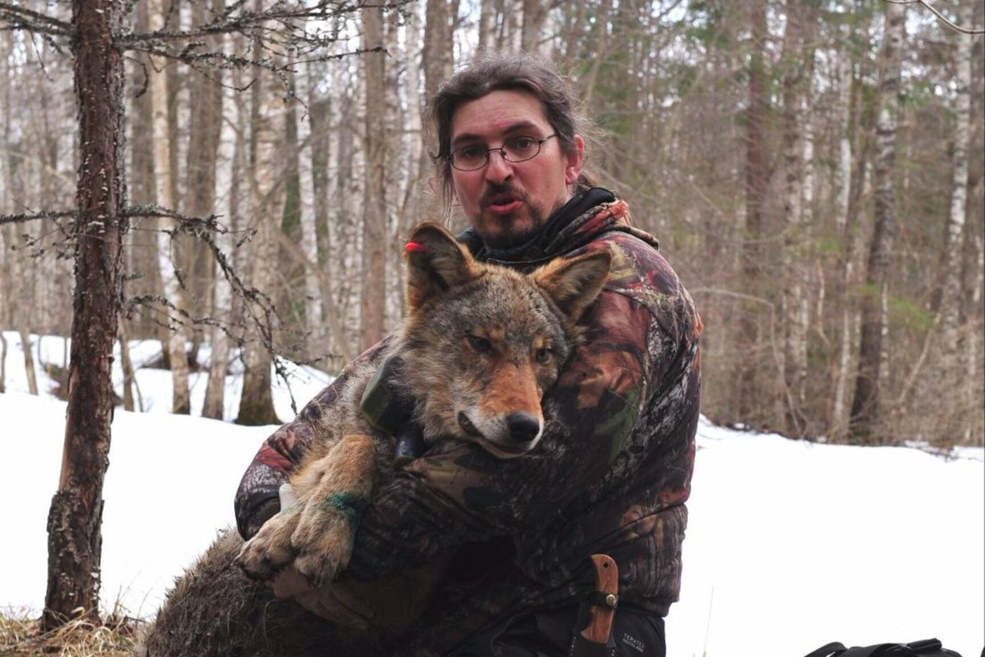 "Волков бояться – в лес не ходить": испанский учёный приехал в Россию, где воет и изучает хищников